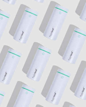 Ultimate Starter Bundle