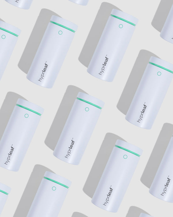 Ultimate Starter Bundle